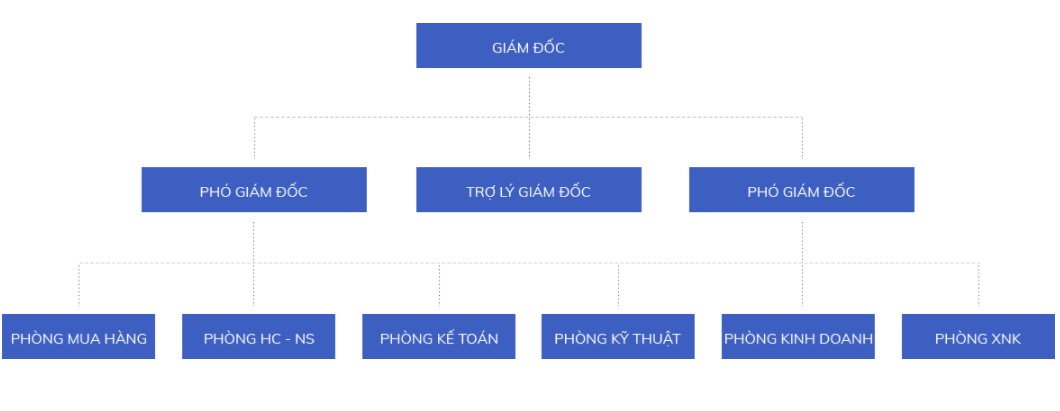 cơ-cấu-tổ-chức-việt-á-vait
