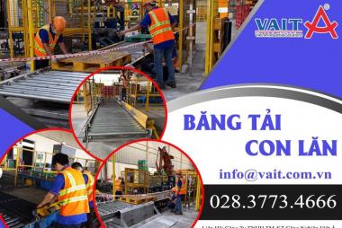 CON LĂN BĂNG TẢI - REGINA