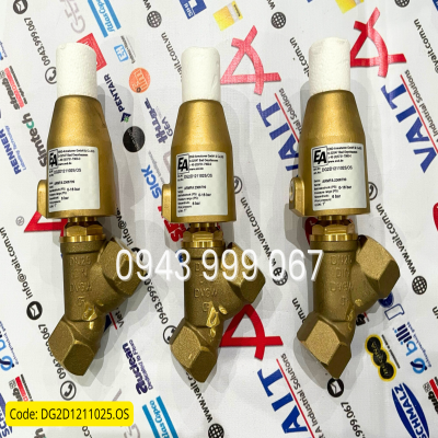 Van điều khiển áp suất DG2D1211025/OS End Armaturen